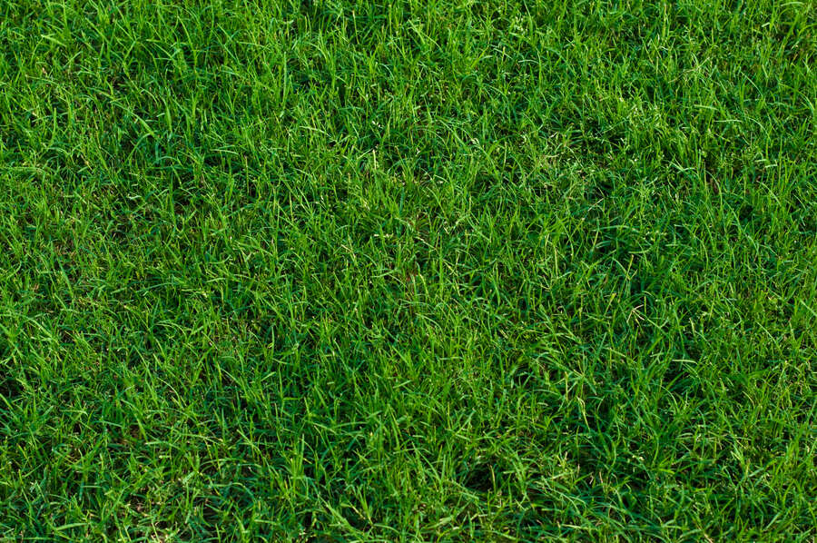 AdobeStock_109454864
