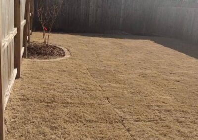 Bermuda Sod for Lawn