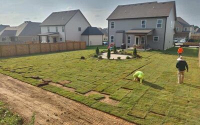 Top Benefits of Choosing Bermuda Grass Sod for Your Lawn