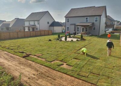 bermuda grass sod lawn