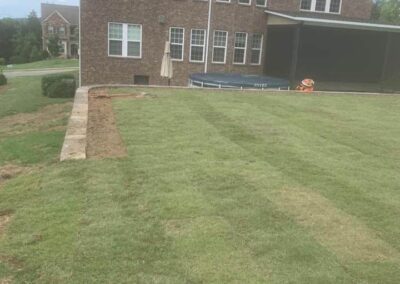 beautiful bermuda grass sod lawn