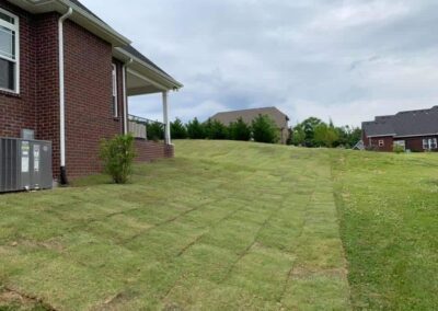 bermuda grass sod lawn