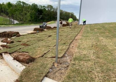 bermuda grass sod installation