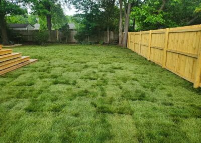 Fescue Sod Care in TN