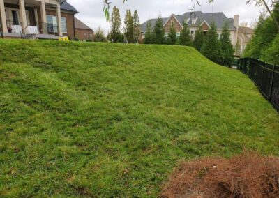 Fescue Grass Sod Installation