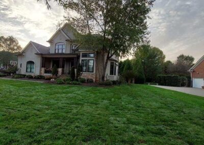 Fescue Grass Sod Lawn Services