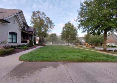 Fescue Grass Sod Lawn