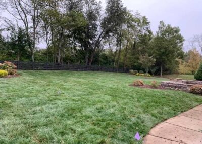 Fescue Sod Lawn Installation