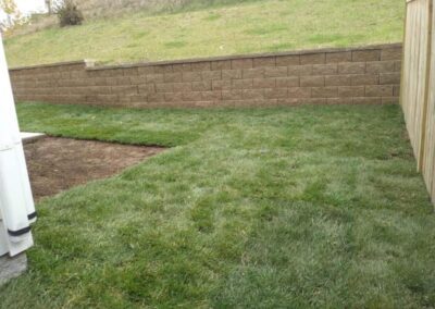 Fescue Sod Lawn Irrigation
