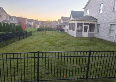 Fescue Sod Lawn Care