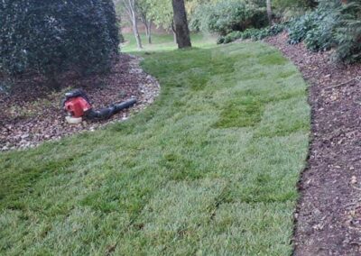 Fescue Grass Sod Installation