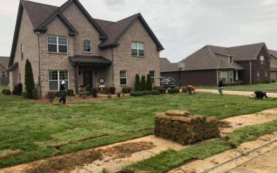 The Best Time to Lay Fescue Sod for a Healthy Lawn