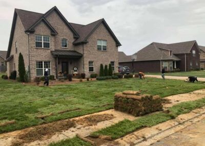 Fescue Grass Sod Delivery & Installation