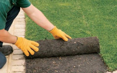 New Sod Installation Tips & Care: Common Mistakes to Avoid