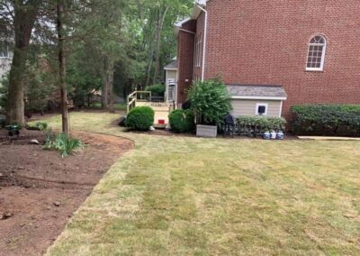 zoysia sod lawn service