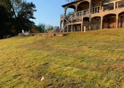 zoysia sod lawn care