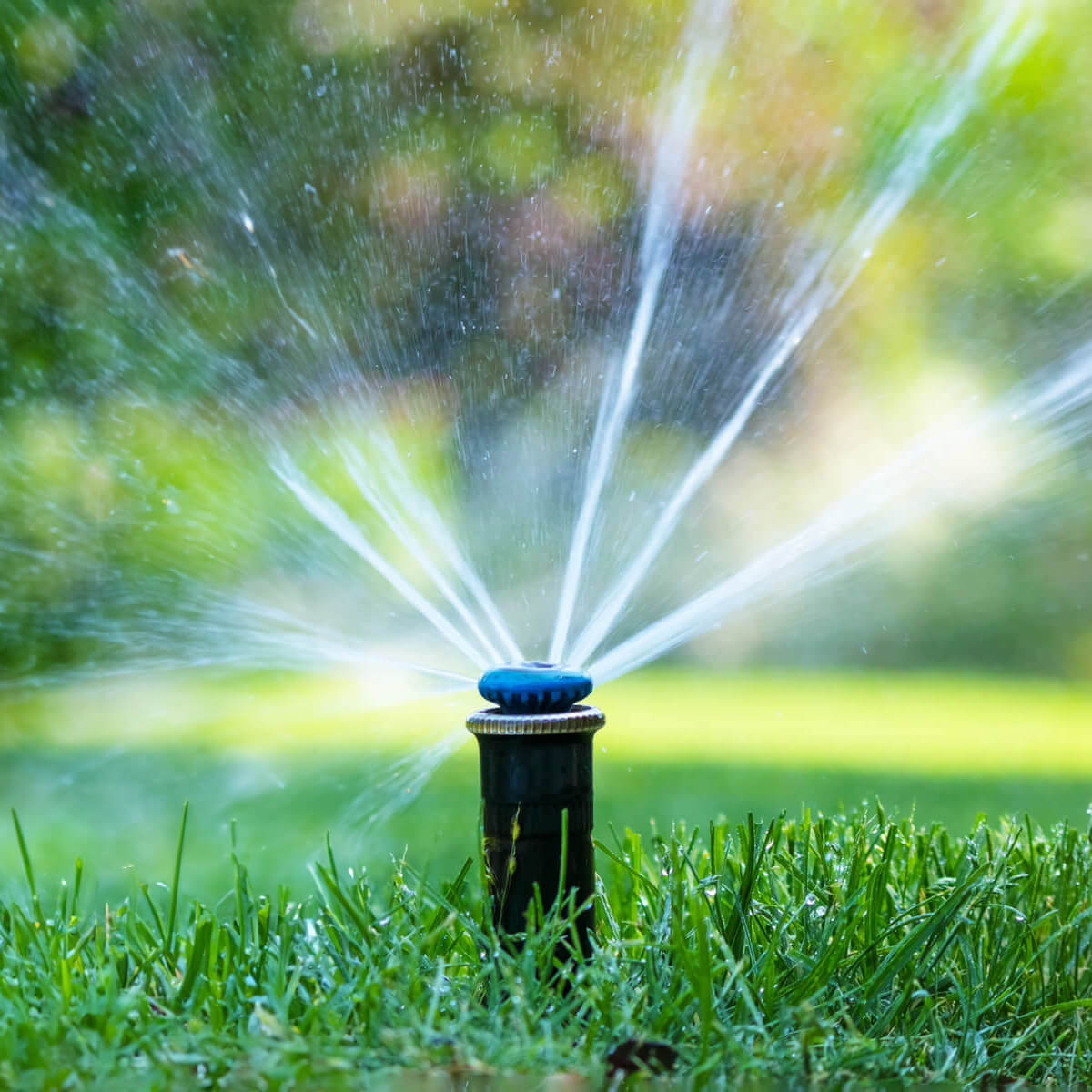AdobeStock_746031814_square