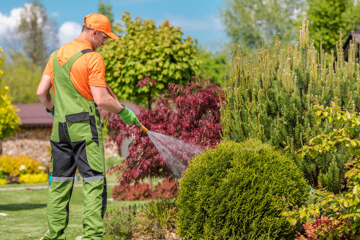 lawn_care