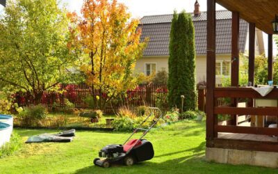 Professional Lawn Care Services: Hire Experts and Save Your Time and Money
