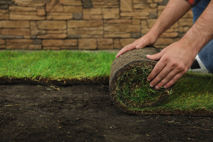 Zoysia Sod Grass Installation